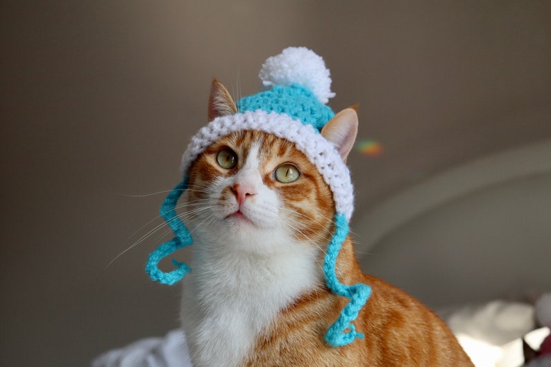 Hut für Katzen, 2 Farbe häkeln Pom Pom Hut für Katzen und Hunde kleiner Rassen, Feline Accessoires für den Winter, süße Katze Foto Requisite Bild 1