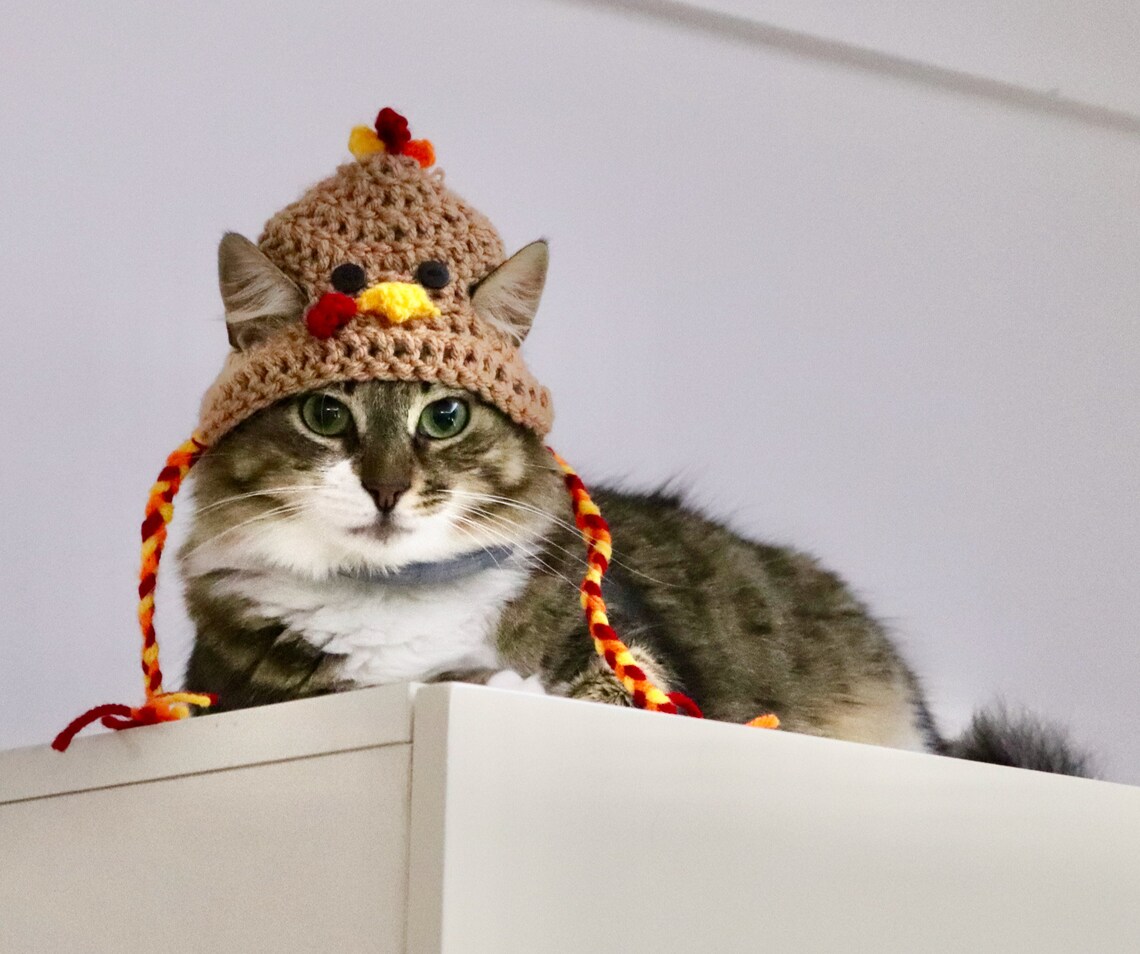 Thanksgiving Turkey Hat for Cats Funny Turkey Cat Hat With Etsy