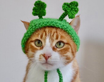 Shamrock ★ Cat　オーダー il_340x270.3747428363_svmi.jpg