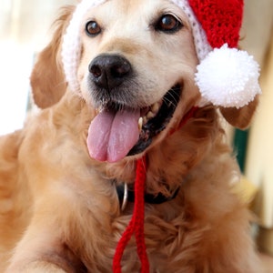 Crochet Pattern: Santa Hat for Large Dogs, Dog Santa Hat Pattern PDF / Digital Download, Christmas Crochet Pattern for Pets / Dog Lovers image 2