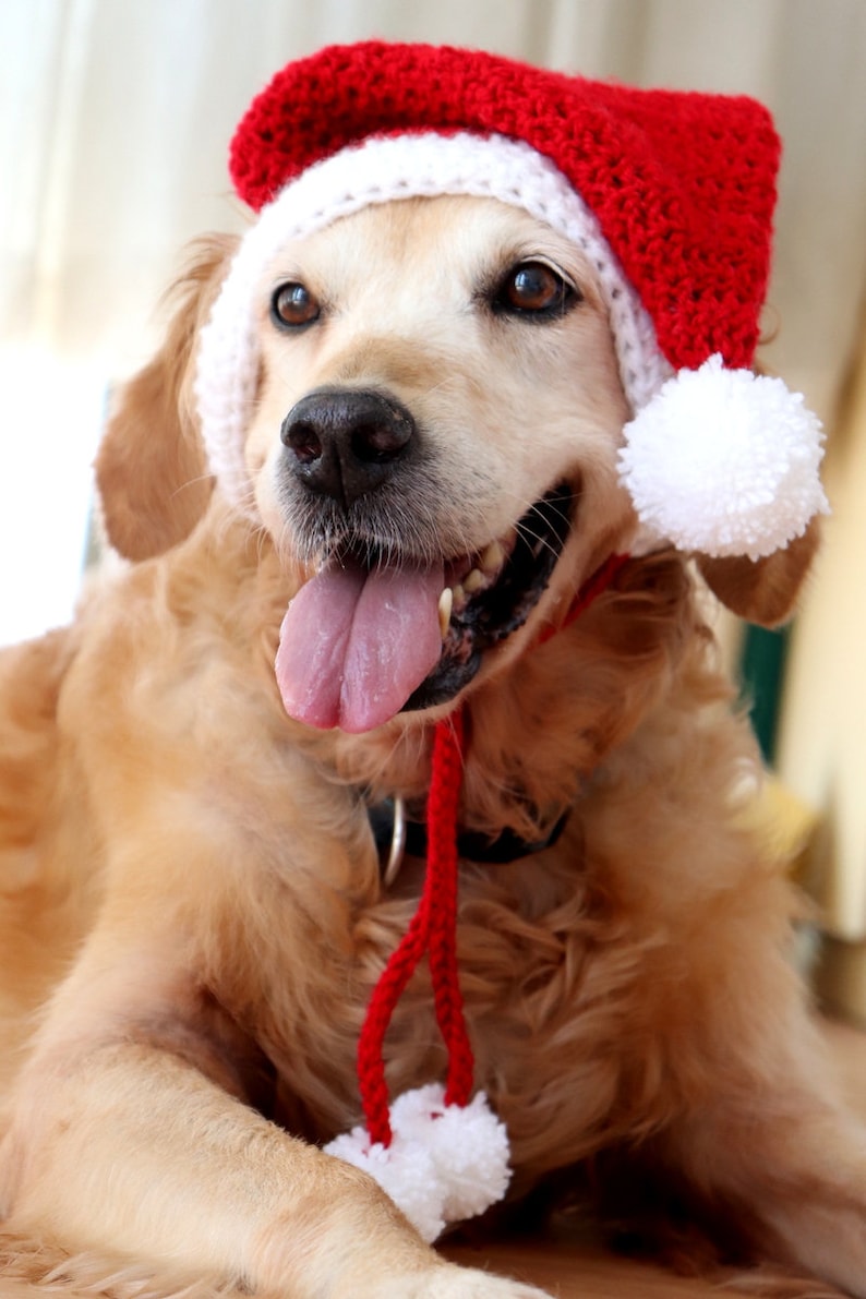 Crochet Pattern: Santa Hat for Large Dogs, Dog Santa Hat Pattern PDF / Digital Download, Christmas Crochet Pattern for Pets / Dog Lovers image 2