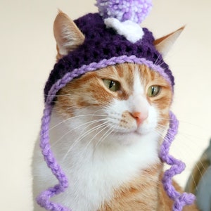 May include: A ginger and white cat wearing a purple crocheted hat with a white pom-pom on top.