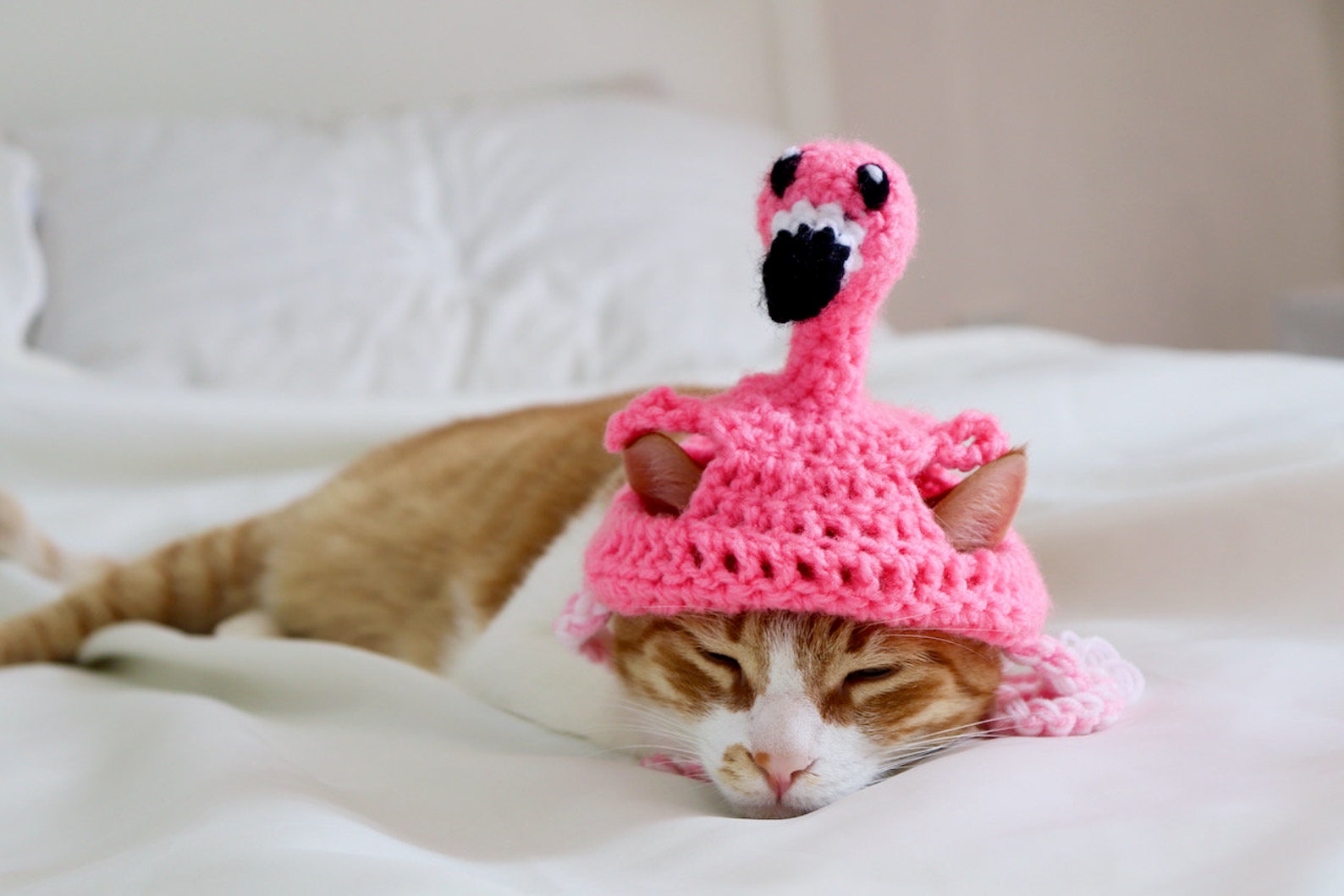 Flamingo Hat for Cats Fun Summer Feline Photoprop / Pet Etsy