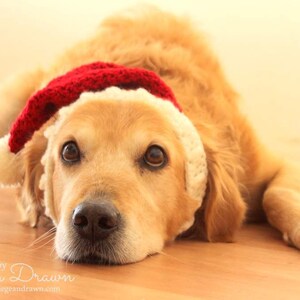 Santa Hat for Dogs, Dog Santa Hat, Holiday Dog Hat, Christmas Hat for Dogs, Large Breed Dog Hat, Christmas Dog Hat, Santa Dog Hat image 4