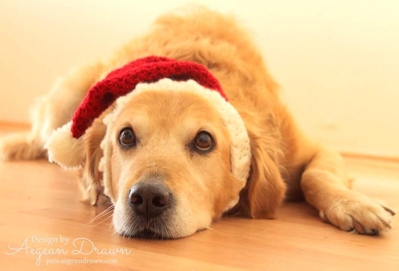 Santa Hat for Dogs, Dog Santa Hat, Holiday Dog Hat, Christmas Hat for Dogs, Large Breed Dog Hat, Christmas Dog Hat, Santa Dog Hat image 4