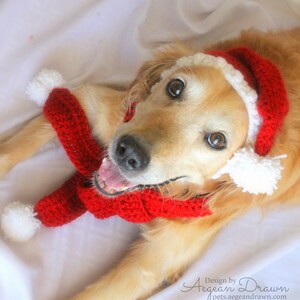 Santa Hat for Dogs, Dog Santa Hat, Holiday Dog Hat, Christmas Hat for Dogs, Large Breed Dog Hat, Christmas Dog Hat, Santa Dog Hat image 2