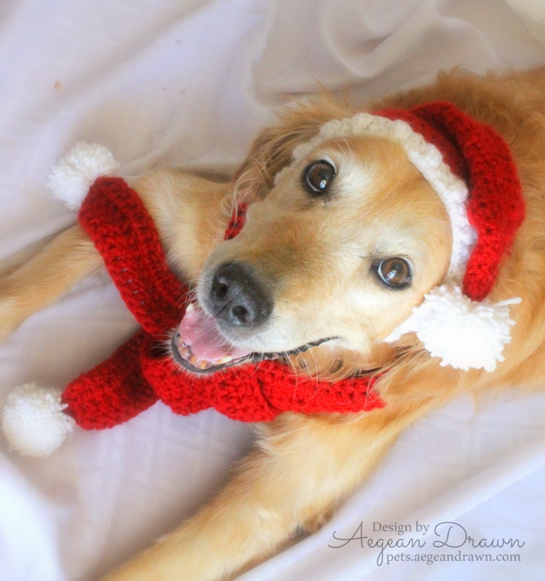 Santa Hat for Dogs, Dog Santa Hat, Holiday Dog Hat, Christmas Hat for Dogs, Large Breed Dog Hat, Christmas Dog Hat, Santa Dog Hat image 2