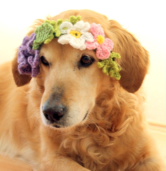 Flower Crown Collar for Dogs Pet Wedding Dog Flower Girl Accessory Indoor Outdoor Washable Flower Photo Prop for Large Dogs Etsy Canada
