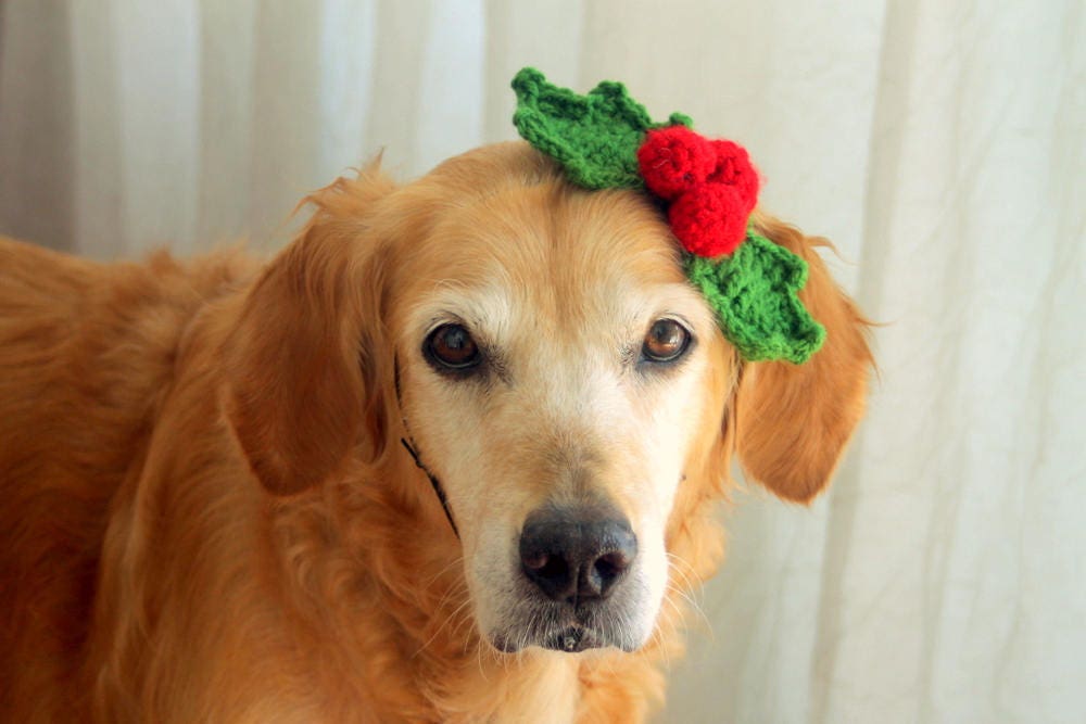 Holly Headband for Pets Holly Berry Dog Accessory Christmas Etsy