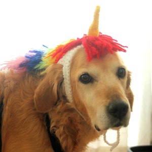 Unicorn Costume for Dogs, Unicorn Mane and Horn for Large Breed Dogs, Halloween Costumes for Pets, Unicorn Dog Hat, Funny Dog Accessories image 5