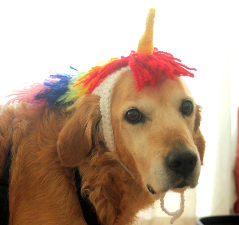 Unicorn Costume for Dogs, Unicorn Mane and Horn for Large Breed Dogs, Halloween Costumes for Pets, Unicorn Dog Hat, Funny Dog Accessories image 5