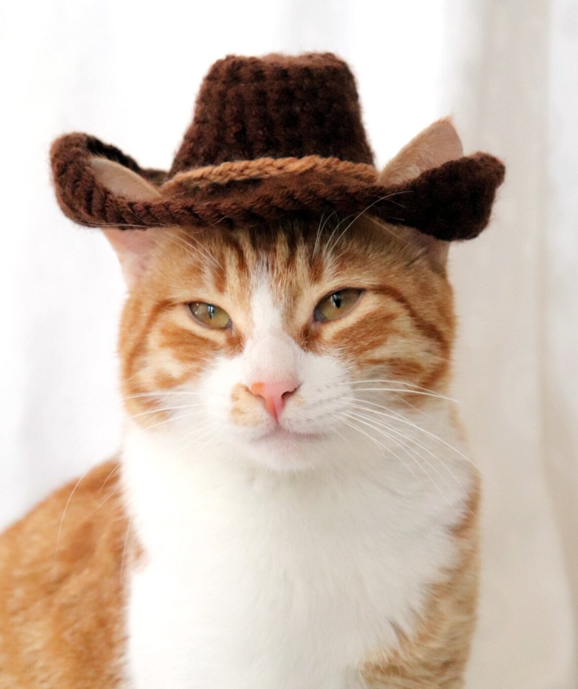 Crochet Pattern Cowboy Hat for Cats With Ear Holes PDF Etsy