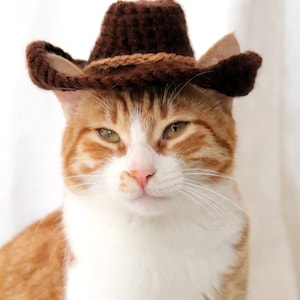 K&ouml;nnte beinhalten: Nahaufnahme eines rot-wei&szlig;en Katers mit einem braunen Cowboyhut. Die Katze schaut direkt in die Kamera mit einem ernsten Ausdruck.