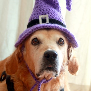 Crochet Pattern: Witch Hat for Large Dogs, Crochet Witch Pet Costume Hat, Witch Dog Hat PDF Pattern for Digital Download zdjęcie 9