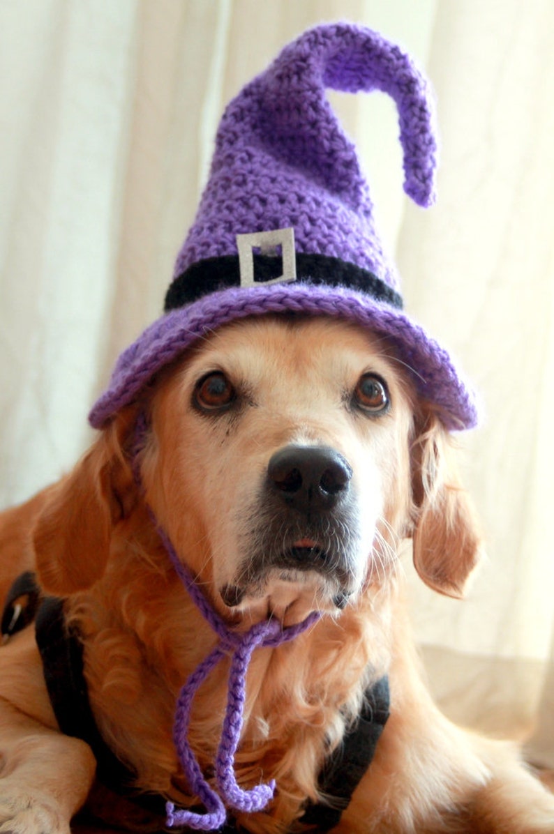 Crochet Pattern: Witch Hat for Large Dogs, Crochet Witch Pet Costume Hat, Witch Dog Hat PDF Pattern for Digital Download image 9