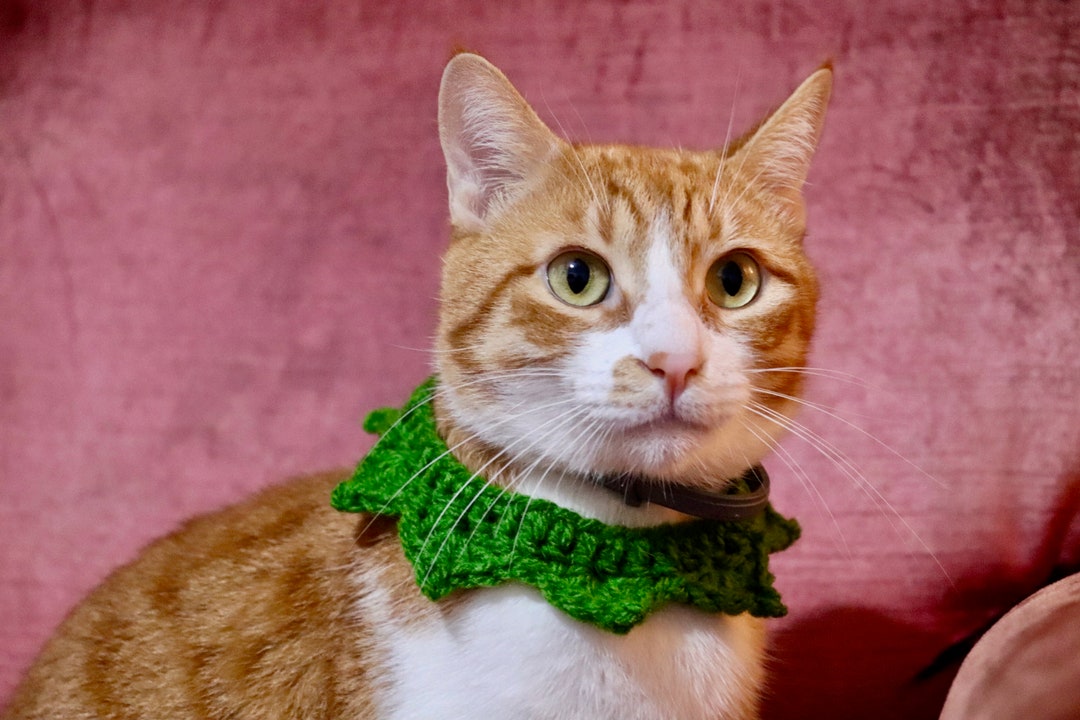 Christmas Elf Collar for Cats, Green Slip on Elf Collar for Kittens