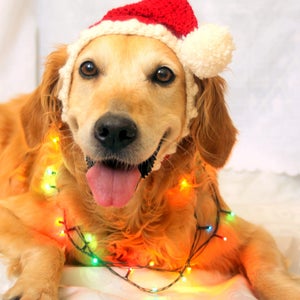 Santa Hat for Dogs, Dog Santa Hat, Holiday Dog Hat, Christmas Hat for Dogs, Large Breed Dog Hat, Christmas Dog Hat, Santa Dog Hat image 8