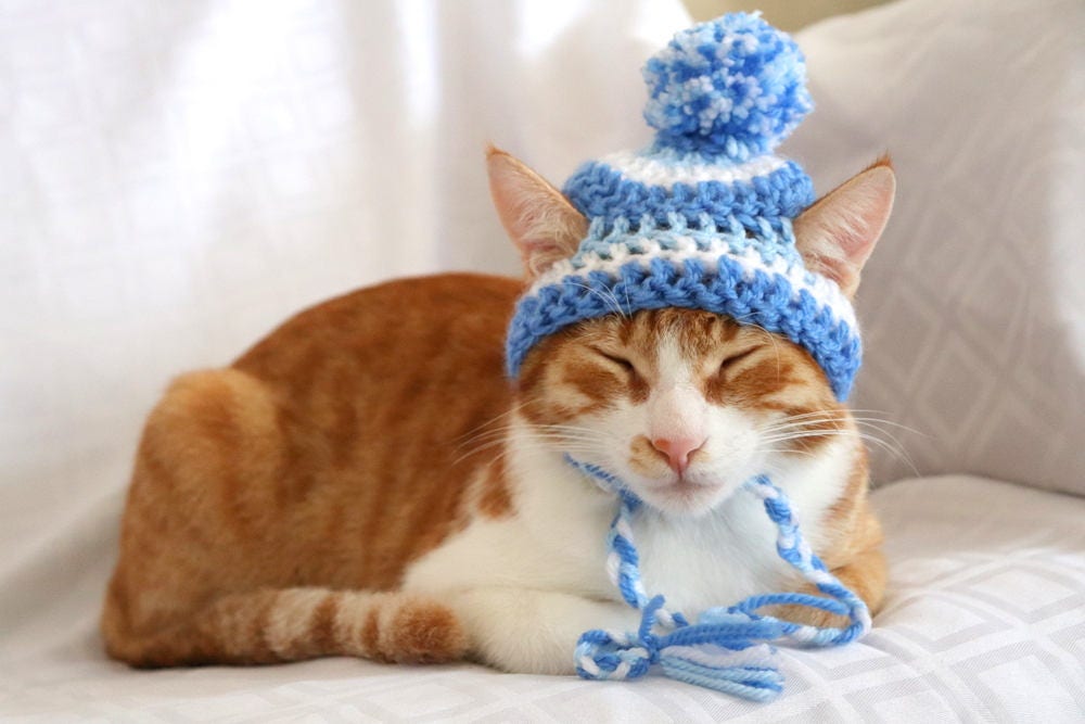 Hat for Cats, Toboggan Cat Hat, Beanie for Cats & Kittens, Cat Stocking Cap, Bobble Hat for Cats and Small Dogs, Cat Toque, Striped Pet Hat - Etsy Hat for Cats, Toboggan Cat Hat, Beanie for Cats & Kittens, Cat Stocking Cap, Bobble Hat for Cats and Small Dogs, Cat Toque, Striped Pet Hat - Etsy