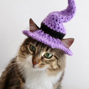 Witch Cat Hat Witch Hat for Cats Halloween Cat Costume - Etsy