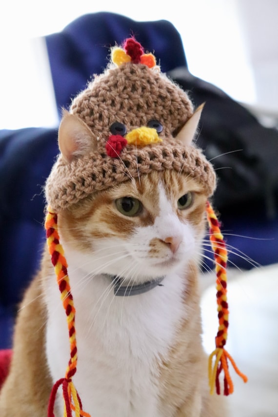 Thanksgiving Turkey Hat for Cats Funny Turkey Cat Hat With -  Denmark