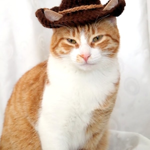 K&ouml;nnte beinhalten: Eine wei&szlig;-orange getigerte Katze tr&auml;gt einen braunen Cowboyhut mit braunem Band.