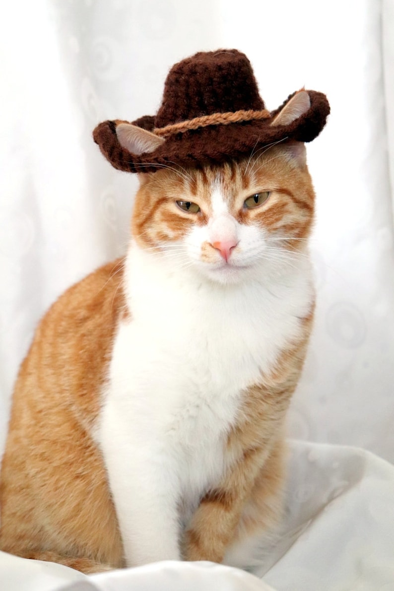 K&ouml;nnte beinhalten: Eine wei&szlig;-orange getigerte Katze tr&auml;gt einen braunen Cowboyhut mit braunem Band.