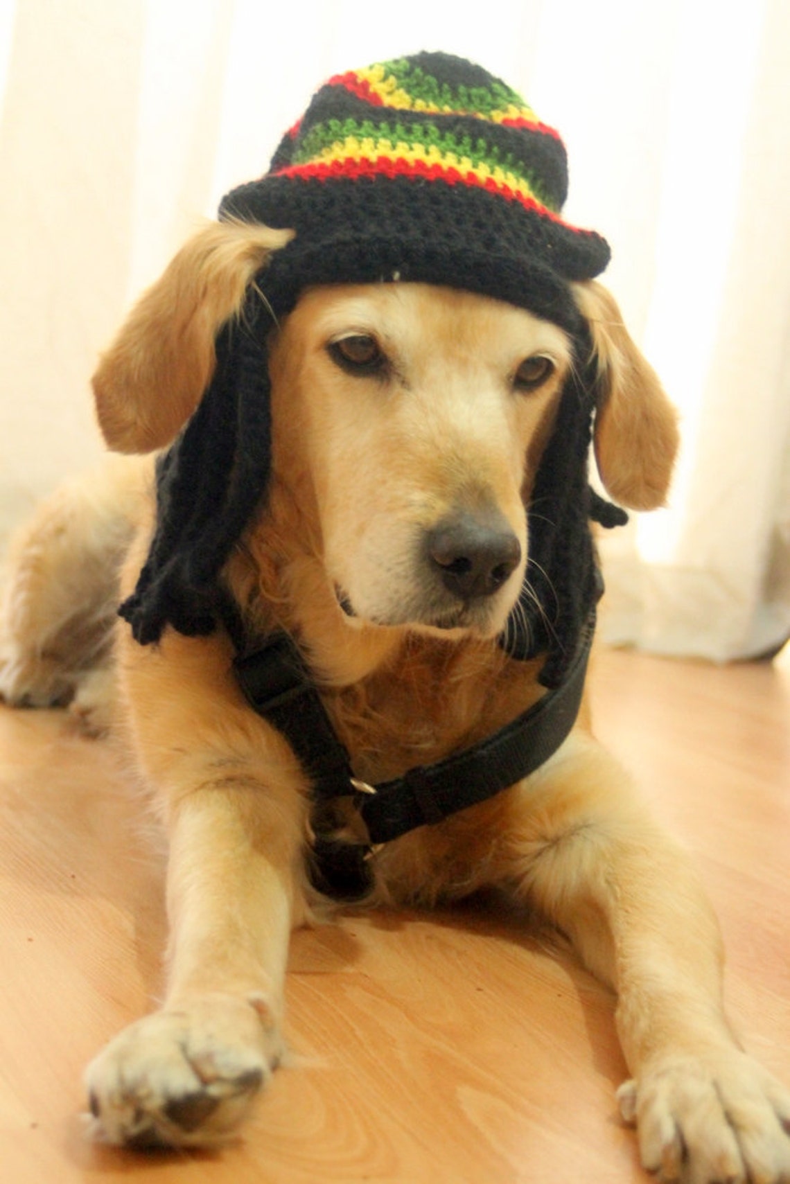 Rasta Hat for Dogs Rastafarian Dog Hag with Dreadlocks Funny Etsy