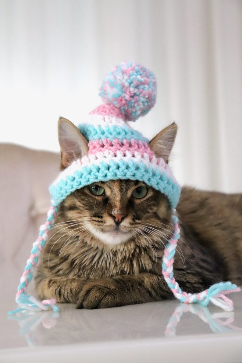 May include: A tabby cat wearing a handmade crochet hat with a pom-pom. The hat features alternating stripes of light blue, pink, and white yarn. The cat has green eyes and long whiskers, with the hat's ear flaps tied under its chin.