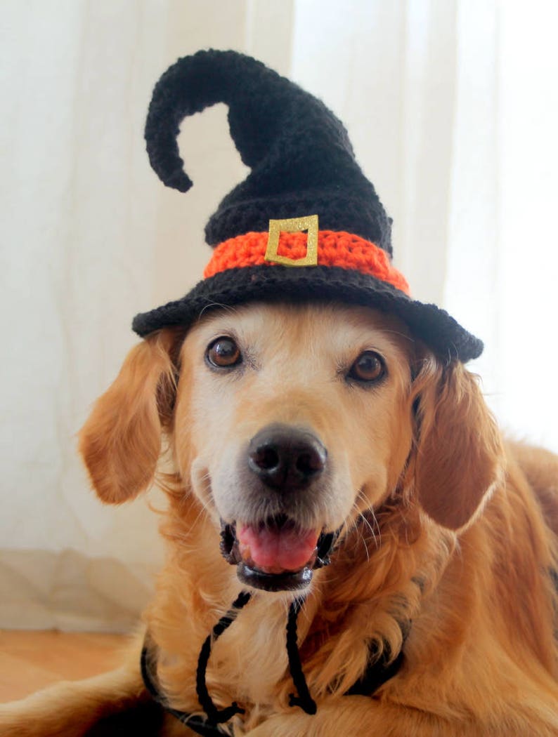 Witch Hat for Dogs, Dog Witch Hat, Halloween Hat for Dogs, Large Breed Dog Costume, Halloween Dog Hat, Witch Dog Hat image 7