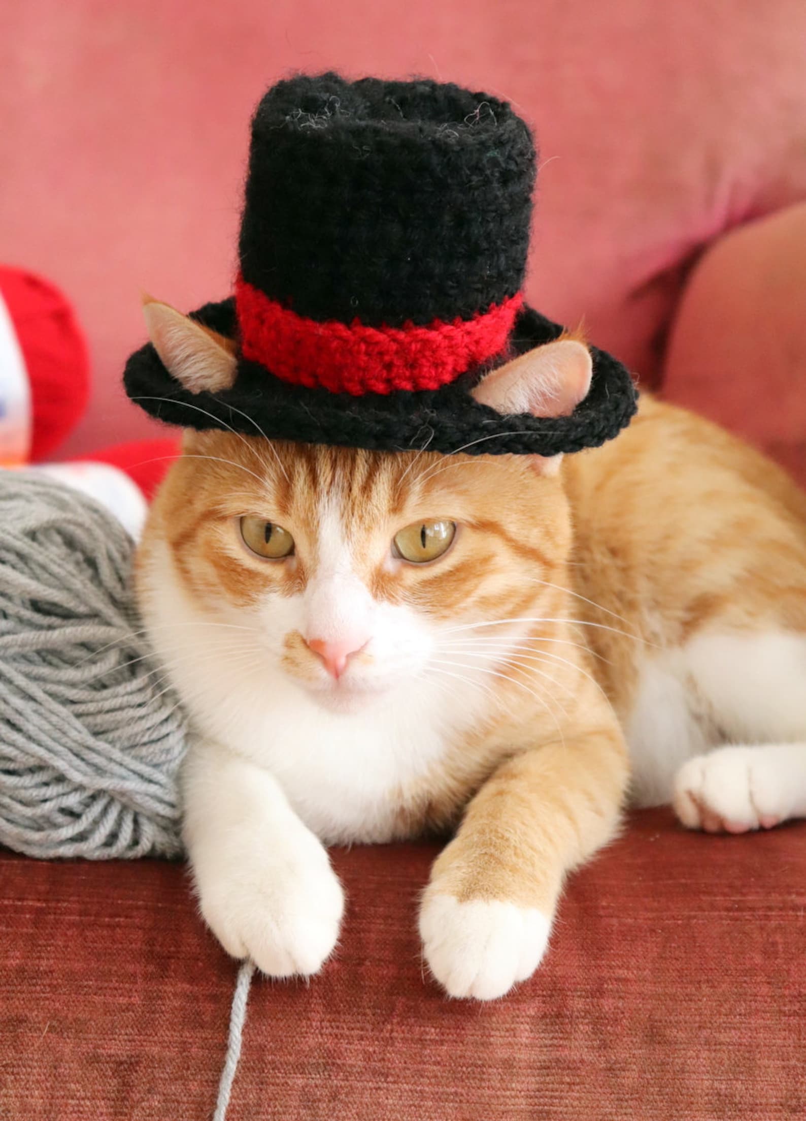Top Hat for Cats Cat Wedding Apparel Cat Formal Wear Feline Etsy