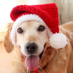 Crochet Pattern: Santa Hat for Large Dogs, Dog Santa Hat Pattern PDF / Digital Download, Christmas Crochet Pattern for Pets / Dog Lovers image 8