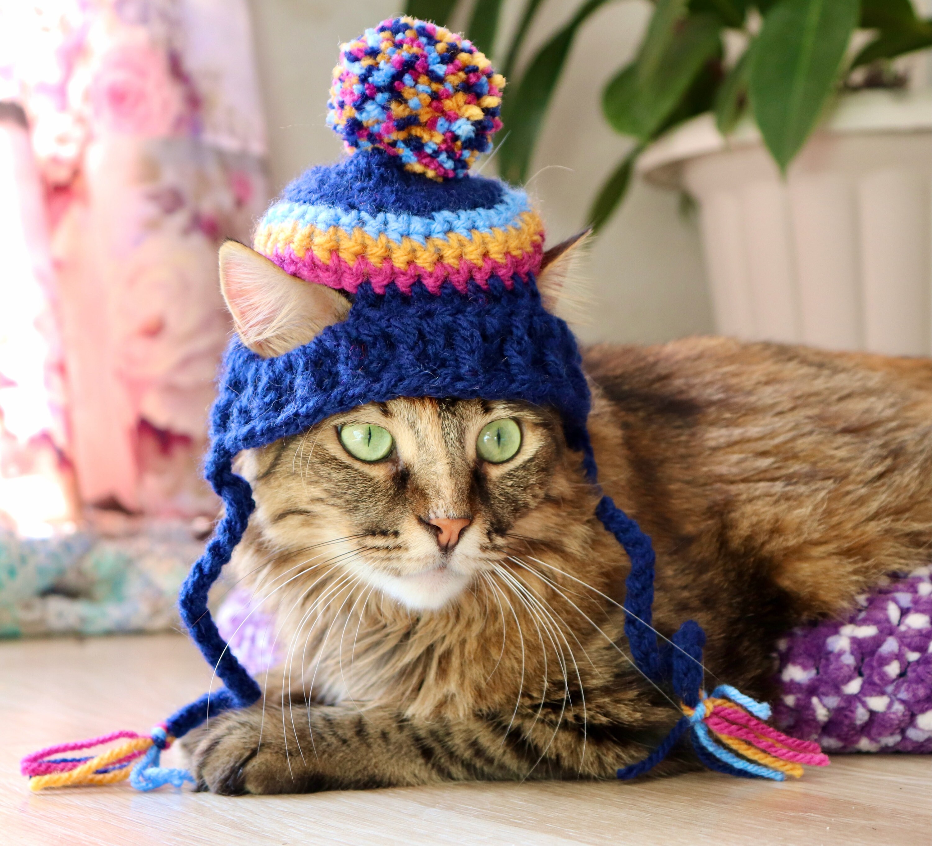 小物 ANDWANG Fluffy cat knit hat 小物 ANDWANG Fluffy cat knit hat Fluffy cat knit hat