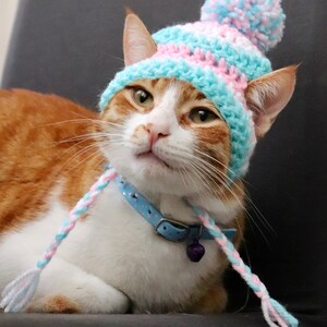 May include: A ginger and white cat wearing a blue, pink, and white crocheted hat with a pom-pom. The cat also wears a blue collar with a small bell and braided ties.