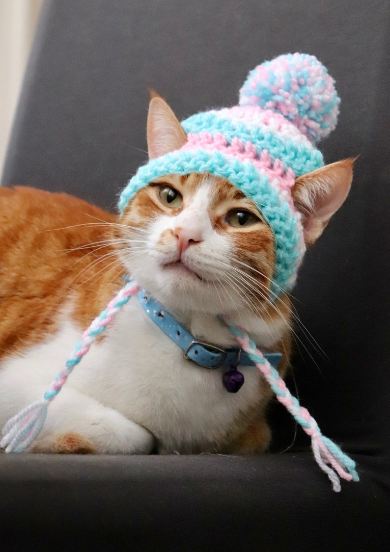 Crochet Pattern Striped Beanie Hat for Cats Etsy