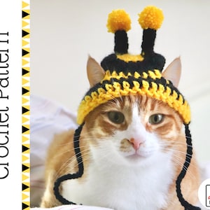 Könnte beinhalten: Eine gehäkelte Bienenmütze für eine Katze, mit gelben und schwarzen Streifen und einem schwarzen Bommel oben. Die Mütze hat lange schwarze Bänder, die an den Seiten der Katze herunterhängen. Die Katze schaut direkt in die Kamera.