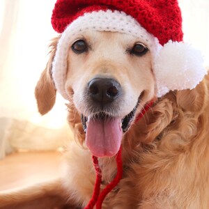 Santa dog hat with ear holes, Santa hat for large dogs Golden, Lab, Pitbull, Husky, Boxer, Christmas dog accessory image 8