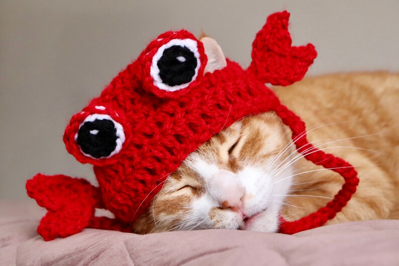 Crab Hat for Cats Funny Feline Crab Accessory / Costume Crab - Etsy