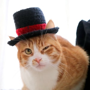 Crochet Pattern: Top Hat for Cats, Crochet Top Hat Pattern with Ear Holes for Cats / XS Dog Breeds, New Years Crochet Pattern for Pets image 7