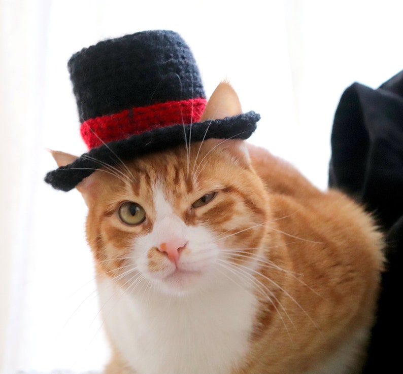 Crochet Pattern: Top Hat for Cats, Crochet Top Hat Pattern with Ear Holes for Cats / XS Dog Breeds, New Years Crochet Pattern for Pets image 7