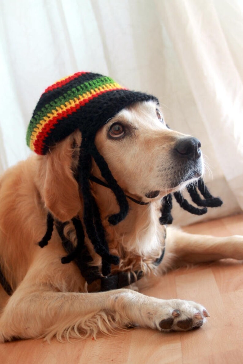 Rasta Hut für Hunde Rastafarian Hund Hag mit Dreadlocks Etsy
