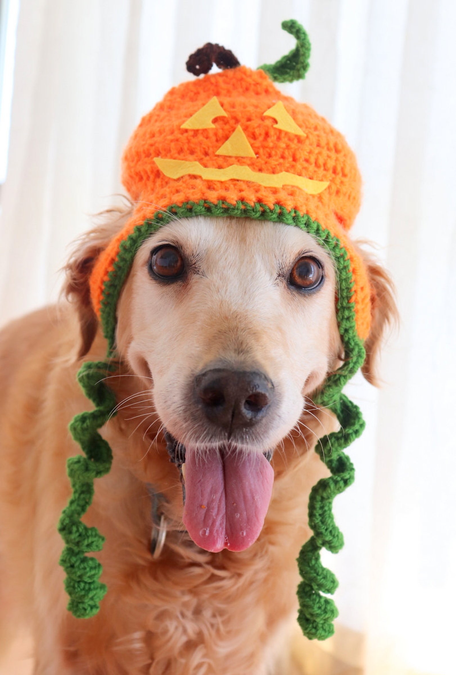 Halloween Dog Hat Jackolantern Hat for Dogs Pumpkin Dog Hat Etsy