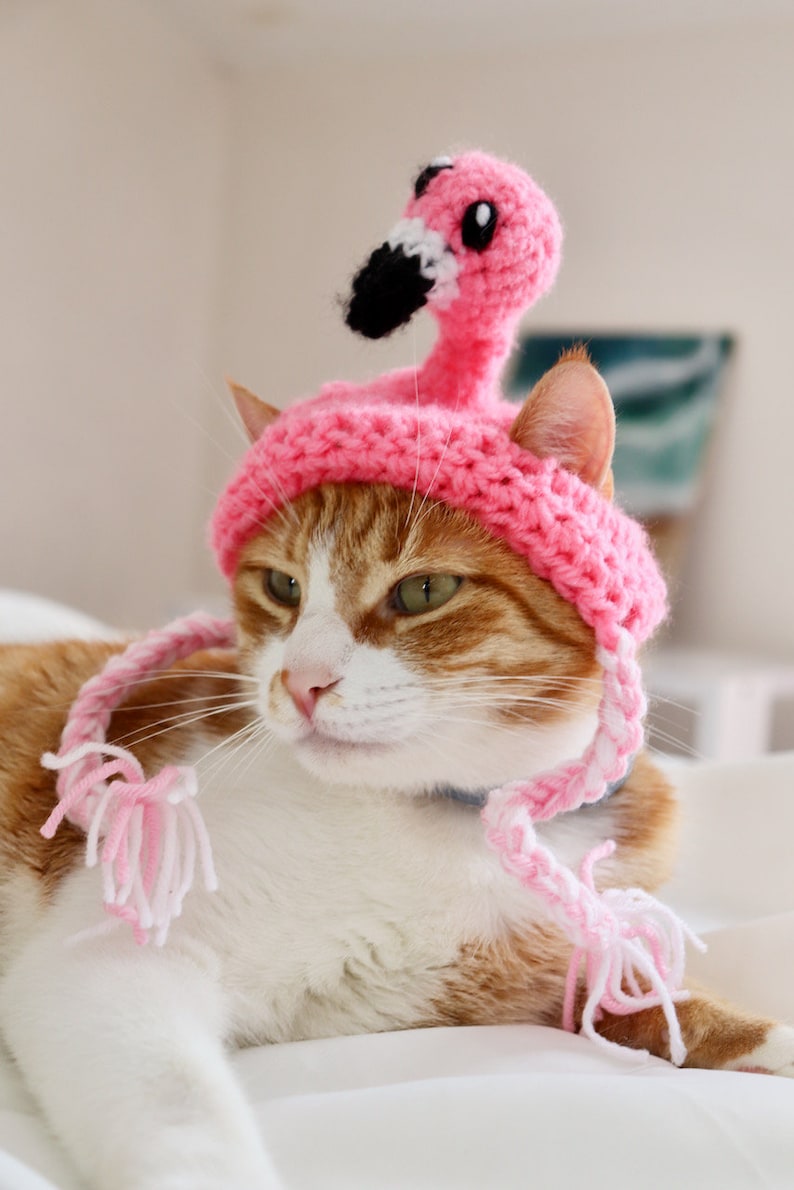 Flamingo Hat for Cats Fun Summer Feline Photoprop / Pet Etsy