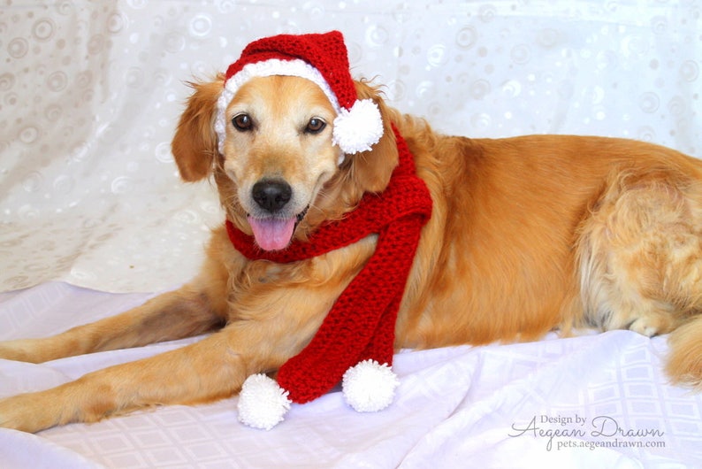 Santa Hat for Dogs, Dog Santa Hat, Holiday Dog Hat, Christmas Hat for Dogs, Large Breed Dog Hat, Christmas Dog Hat, Santa Dog Hat image 5