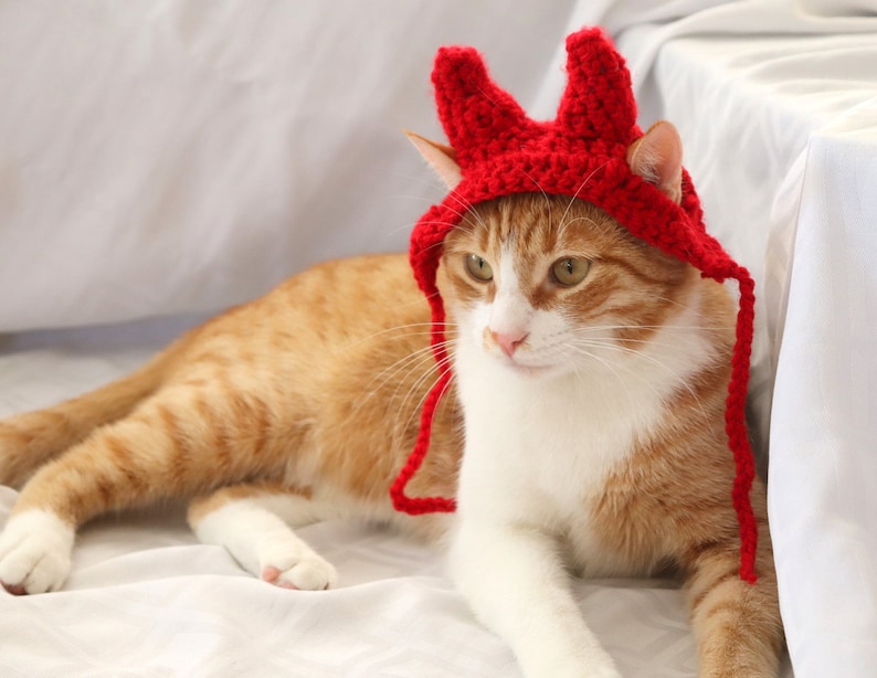 Cat Devil Costume
 Devil Cat Hat Devil Pet Costume Devil Horns for Cats Devil Etsy