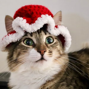 Mrs. Claus Hat for Cats, Red Winter Christmas Hat with Ear Holes, Mrs. Claws Holiday Cat Photo Prop