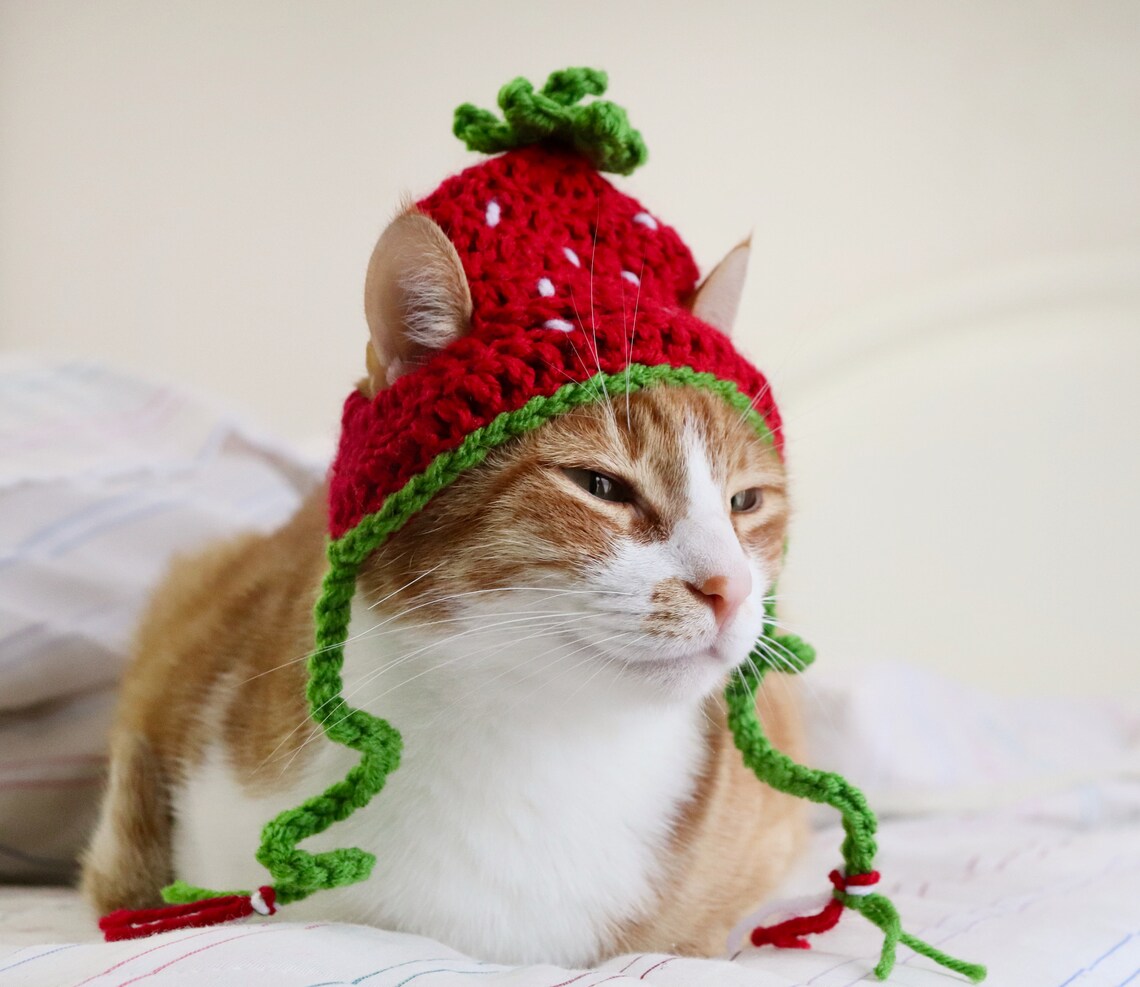 Strawberry Hat for Cats Crochet Strawberry Hat for Cats and Etsy