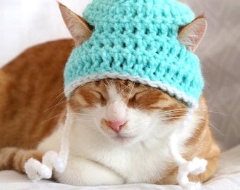 Cat Hat, Beanie for Cats & Kittens, Pom Pom Hat for Male Cats