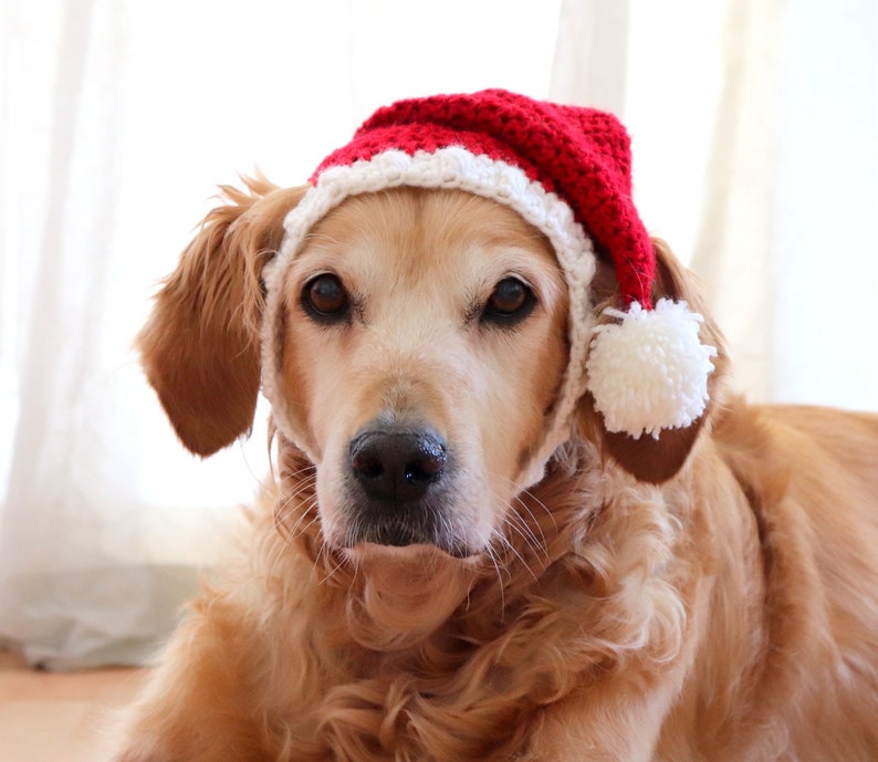 Santa Hat for Dogs, Dog Santa Hat, Holiday Dog Hat, Christmas Hat for Dogs, Large Breed Dog Hat, Christmas Dog Hat, Santa Dog Hat image 3