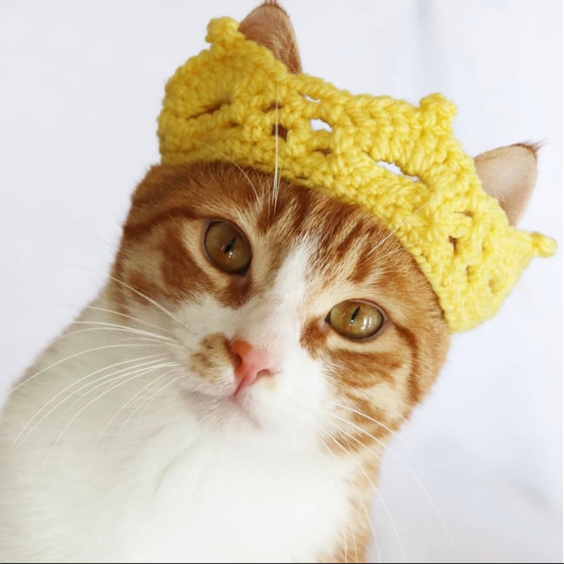 Cat Crown Tiara for Cats and Small Dogs Princess / King / Etsy