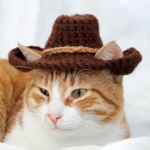 K&ouml;nnte beinhalten: Eine rotbraune Katze tr&auml;gt einen braunen geh&auml;kelten Cowboyhut. Die Katze schaut zur Seite mit geschlossenem Maul.